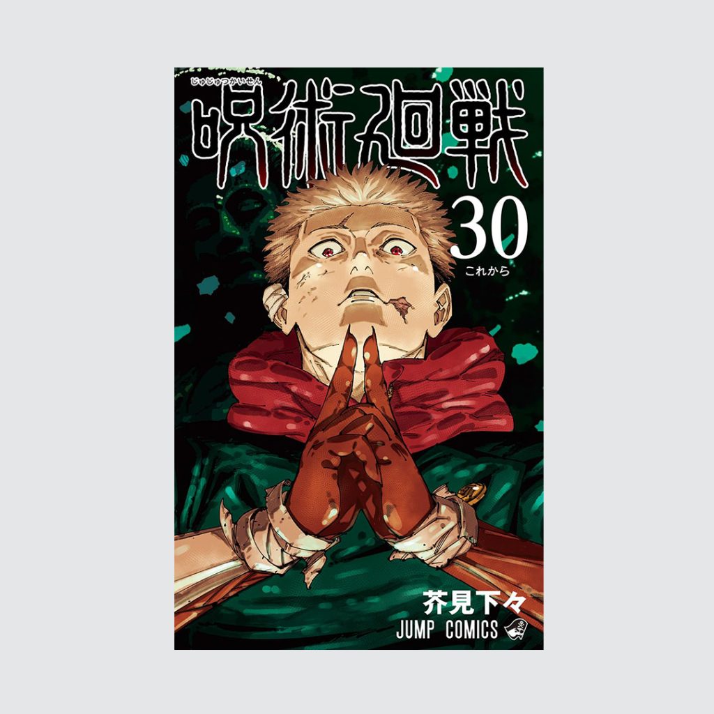 Jujutsu Kaisen JJK Manga Vol. 30 (Japanese Manga)